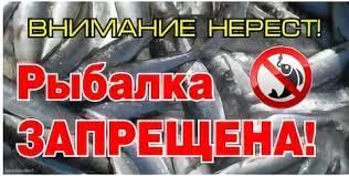 Рыбалка запрещена.