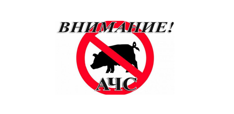 Африканская чума свиней (АЧС).