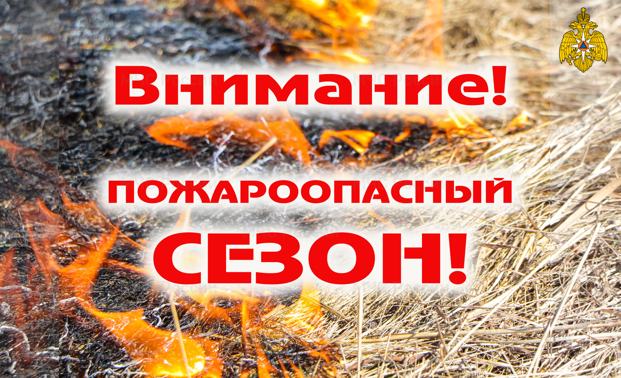 Как подготовить участок к пожароопасному сезону 2023 года?.