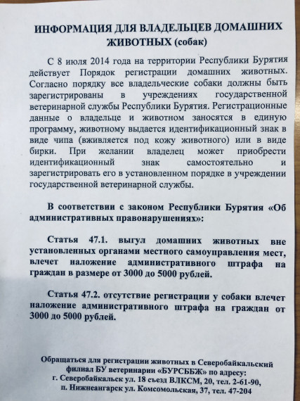 Информация по домашним животным. Информация по домашним животным.